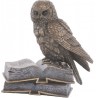 Wise Owl