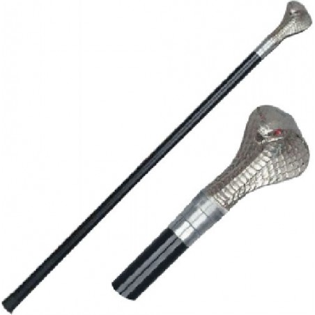 Walking Stick