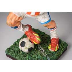 The foodball player