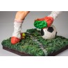The foodball player