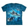 Sizes Kids T-Shirt