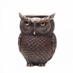 Wise Owl