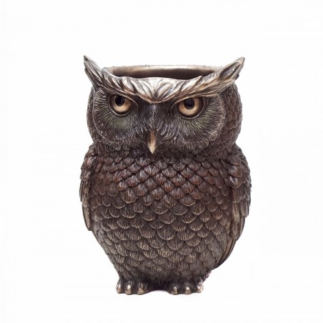 Wise Owl