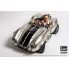 Shelby Cobra (Silver)