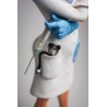 Lady Dentist